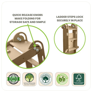 2-in-1 Folding Learn 'N Slide