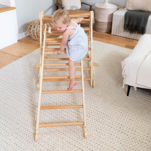 Montessori Climbing Ladder for Toddlers
