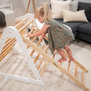 Montessori Climbing Ladder for Toddlers