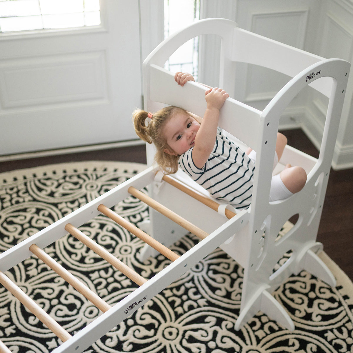 Montessori Climbing Ladder for Toddlers