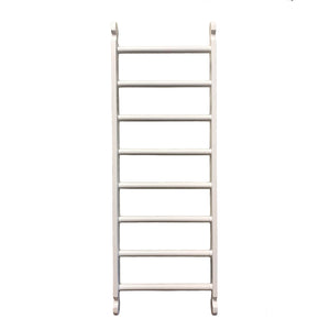 Climbing Ladder