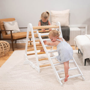 Montessori Climbing Ladder for Toddlers
