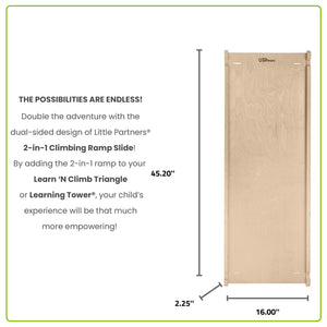 Indoor Slide for Toddlers